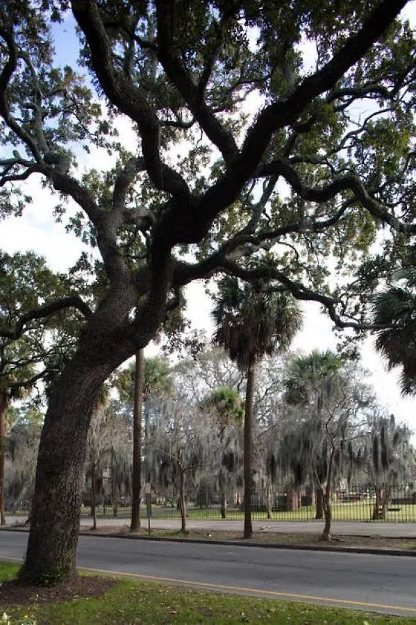 Newly Renovated 4 Bed 3 Bath And 2 Parking Spots Villa Savannah